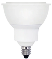 Beautiful Light Technology Corp.